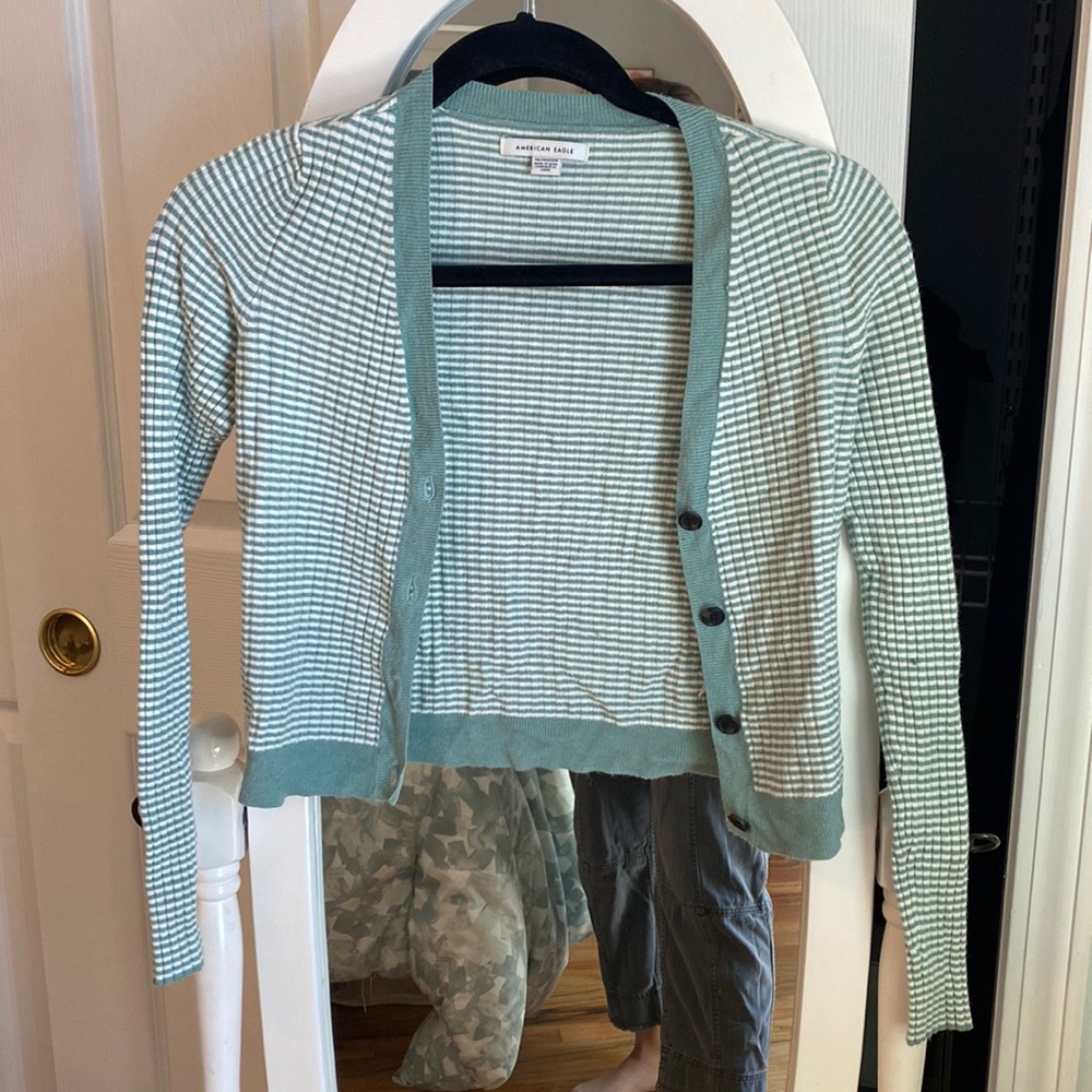 American eagle cropped stripped sweater